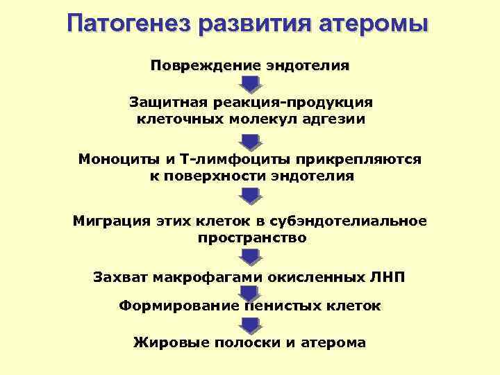 Патогенез развития атеромы Повреждение эндотелия Защитная реакция-продукция клеточных молекул адгезии Моноциты и Т-лимфоциты прикрепляются