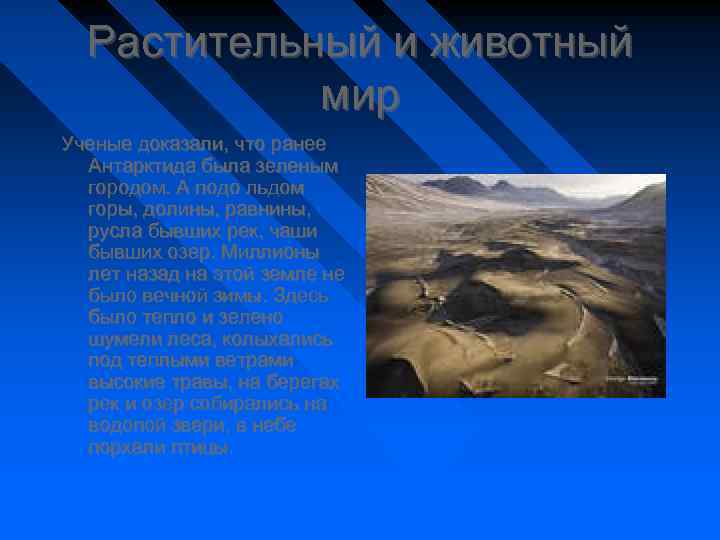 Растительный и животный мир Ученые доказали, что ранее Антарктида была зеленым городом. А подо