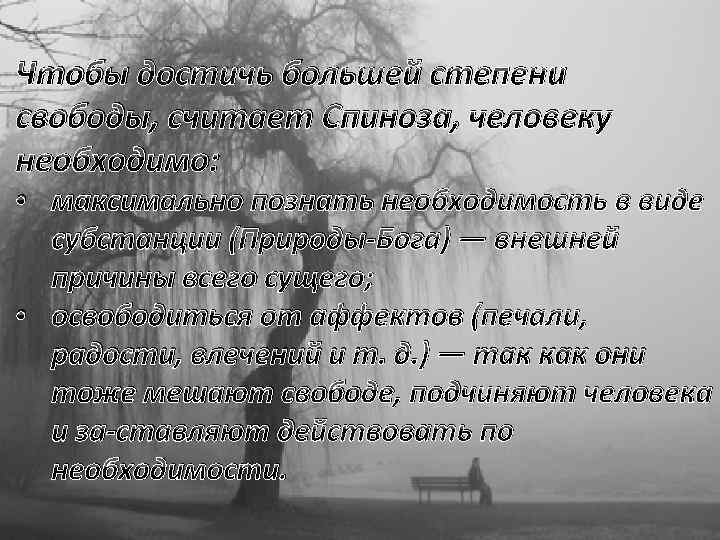 Чтобы достичь большей степени свободы, считает Спиноза, человеку необходимо: • максимально познать необходимость в