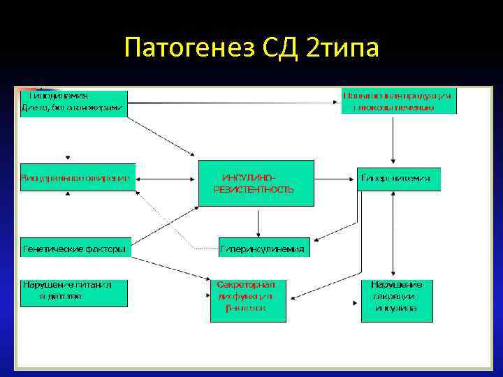 Патогенез СД 2 типа 