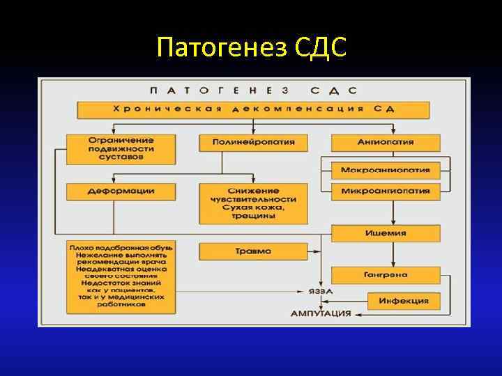 Патогенез СДС 