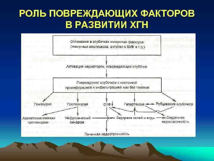 РОЛЬ ПОВРЕЖДАЮЩИХ ФАКТОРОВ В РАЗВИТИИ ХГН 