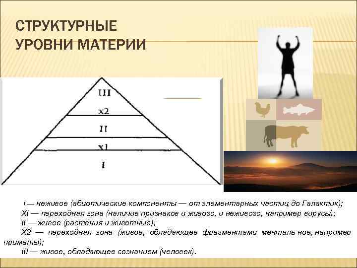 СТРУКТУРНЫЕ УРОВНИ МАТЕРИИ I — неживое (абиотические компоненты — от элементарных частиц до Галактик);