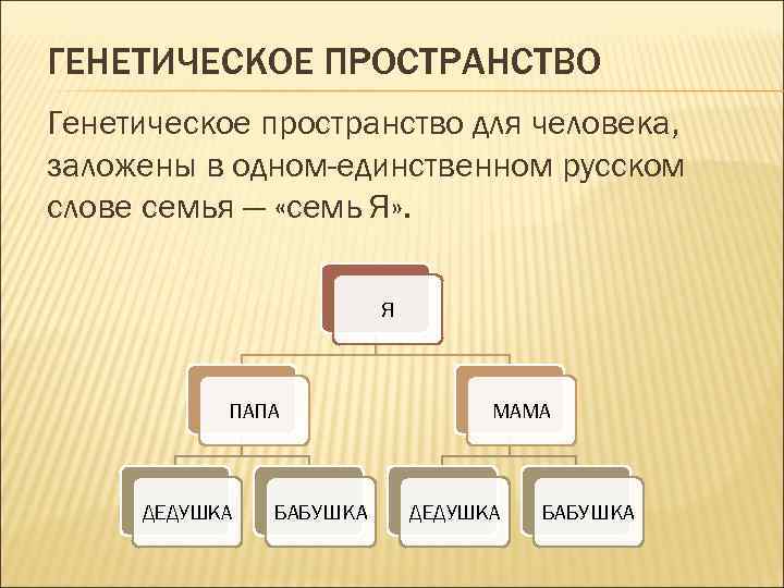 ГЕНЕТИЧЕСКОЕ ПРОСТРАНСТВО Генетическое пространство для человека, заложены в одном-единственном русском слове семья — «семь