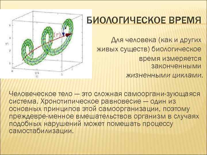 БИОЛОГИЧЕСКОЕ ВРЕМЯ Для человека (как и других живых существ) биологическое время измеряется законченными жизненными