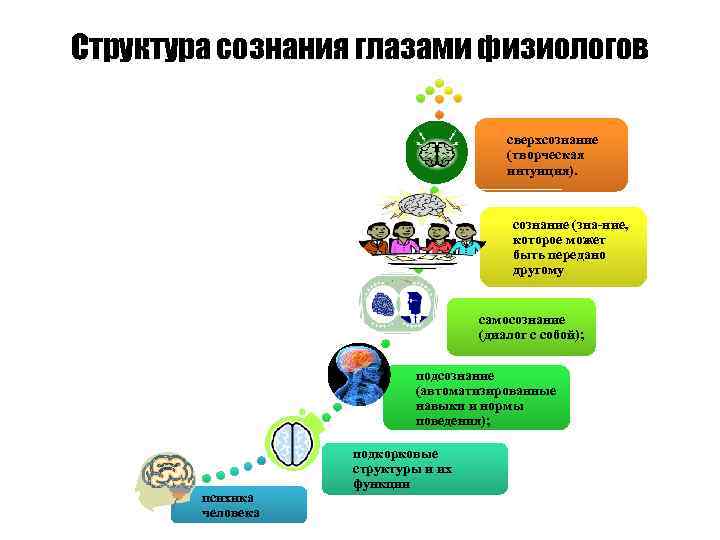 Структура сознания глазами физиологов сверхсознание (творческая интуиция). сознание (зна ние, которое может быть передано