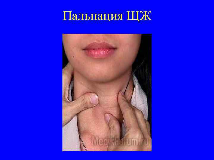 Пальпация ЩЖ 