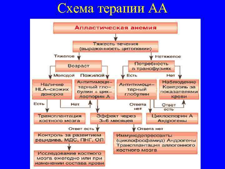 Схема терапии АА 