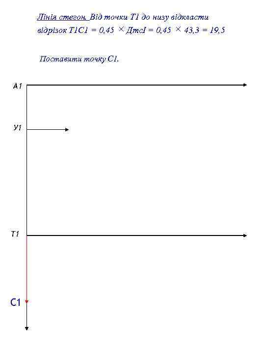 Лінія стегон. Від точки Т 1 до низу відкласти відрізок Т 1 С 1