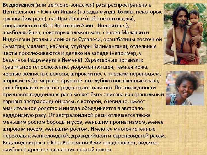 Веддоидная (или цейлоно-зондская) раса распространена в Центральной и Южной Индии (народы мунда, бхилы, некоторые
