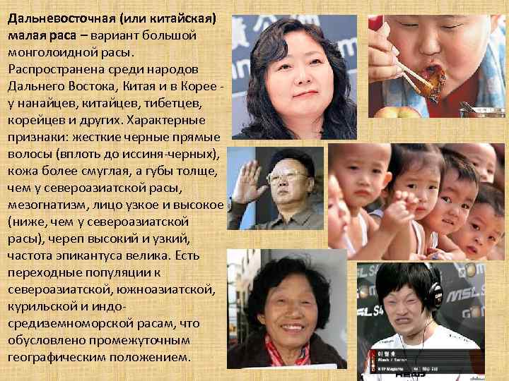 Дальневосточная (или китайская) малая раса – вариант большой монголоидной расы. Распространена среди народов Дальнего