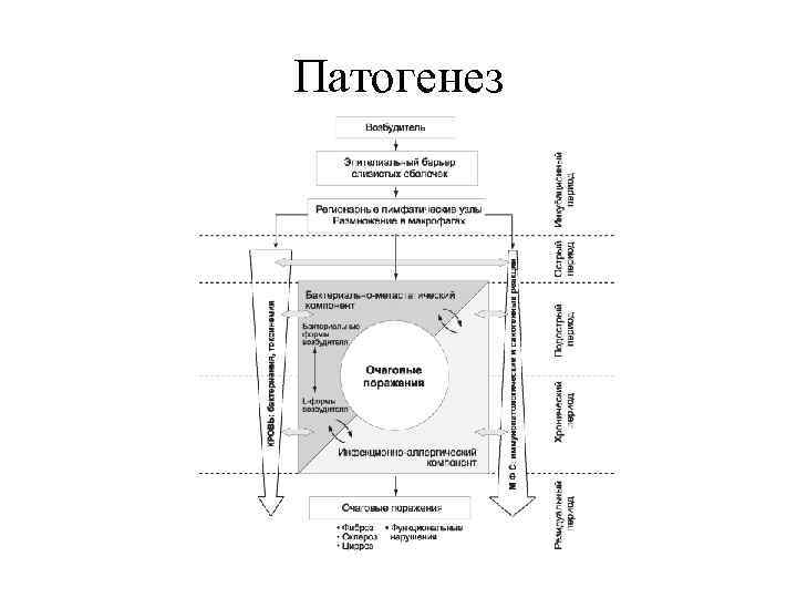 Патогенез 