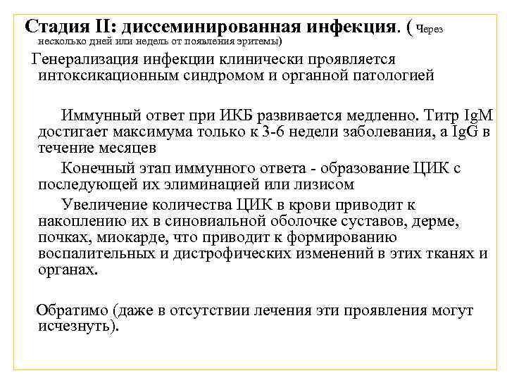 Стадия II: диссеминированная инфекция. ( Через несколько дней или недель от появления эритемы) Генерализация
