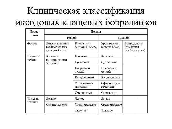 Клиническая классификация иксодовых клещевых боррелиозов 