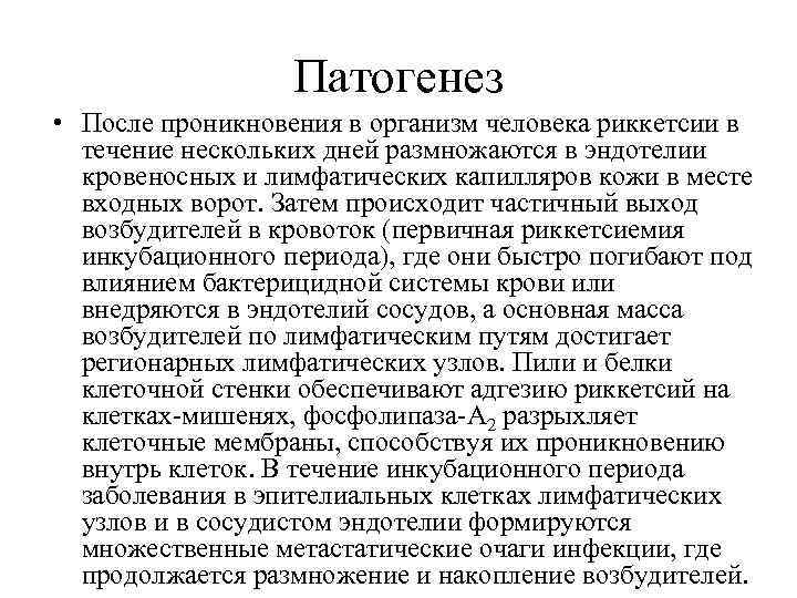 Патогенез • После проникновения в организм человека риккетсии в течение нескольких дней размножаются в