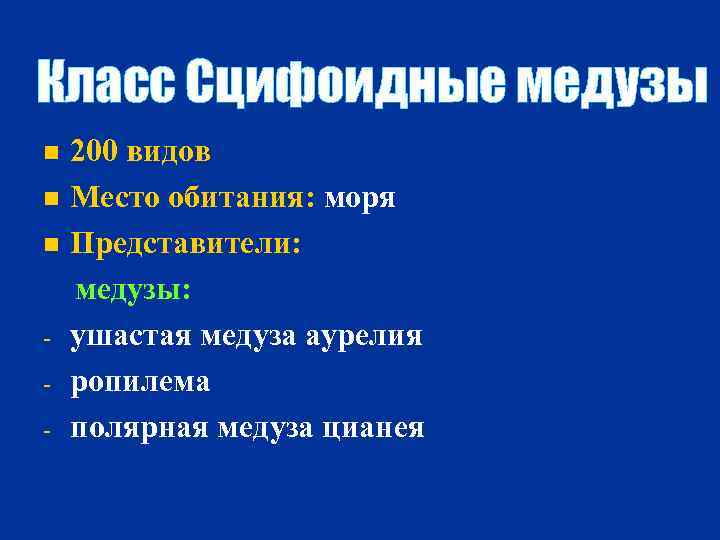 Класс Сцифоидные медузы 200 видов n Место обитания: моря n Представители: медузы: - ушастая