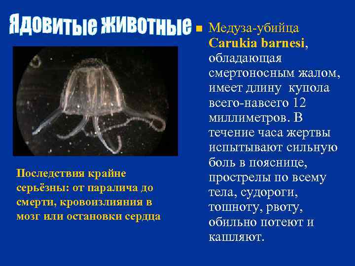 n Последствия крайне серьёзны: от паралича до смерти, кровоизлияния в мозг или остановки сердца