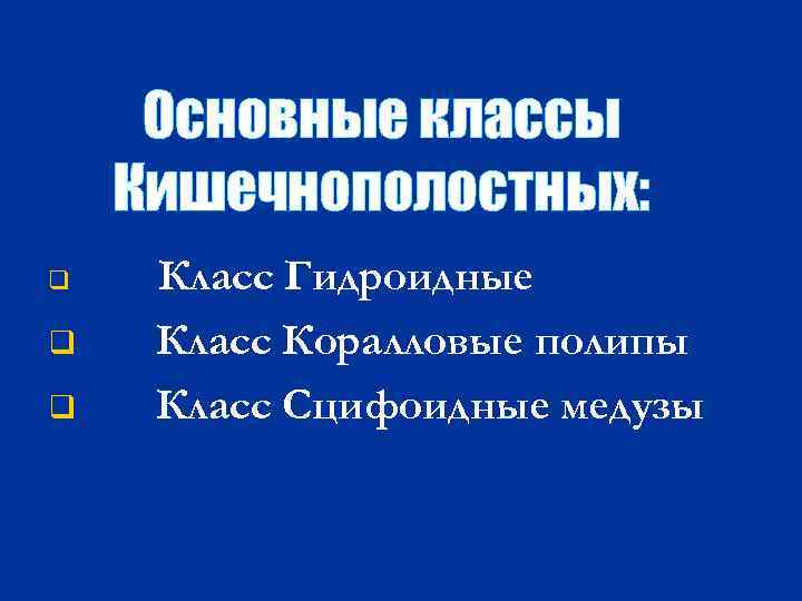 Основные классы Кишечнополостных: q q q Класс Гидроидные Класс Коралловые полипы Класс Сцифоидные медузы