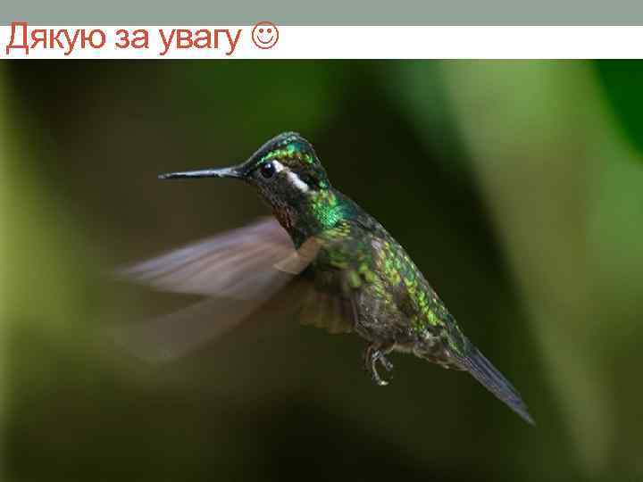 Дякую за увагу 