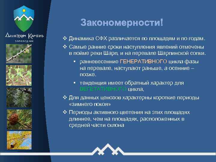 Закономерности v Динамика СФХ различается по площадям и по годам. v Самые ранние сроки