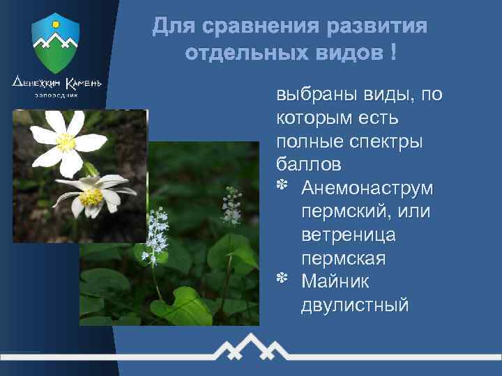 Для сравнения развития отдельных видов выбраны виды, по которым есть полные спектры баллов *