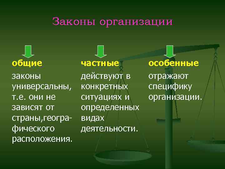 Закон организации статьи. Общие законы. Общие и частные законы. Общие законы организации. Общие организационные законы.