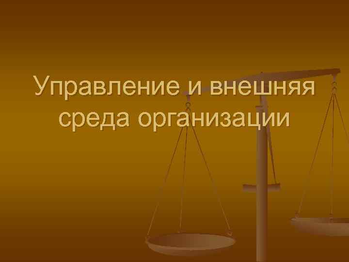 Управление и внешняя среда организации 