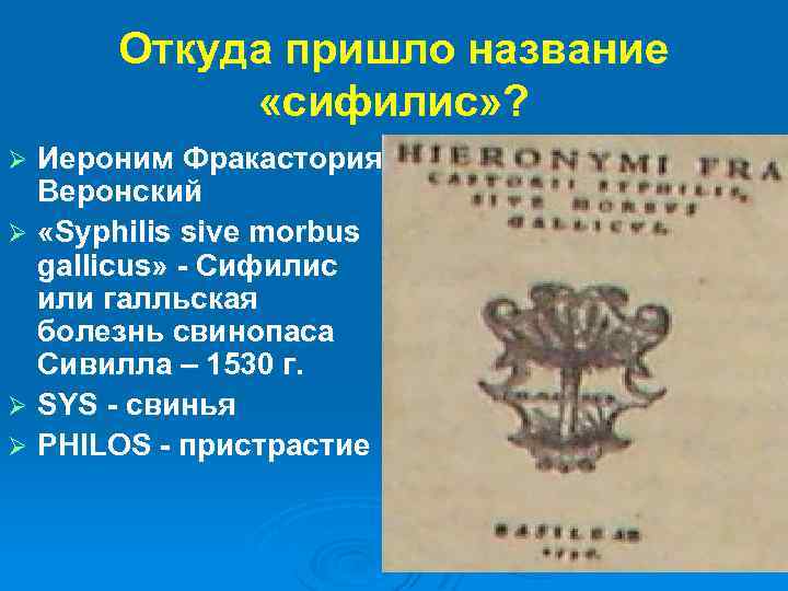 Откуда пришло название «сифилис» ? Иероним Фракастория Веронский Ø «Syphilis sive morbus gallicus» -