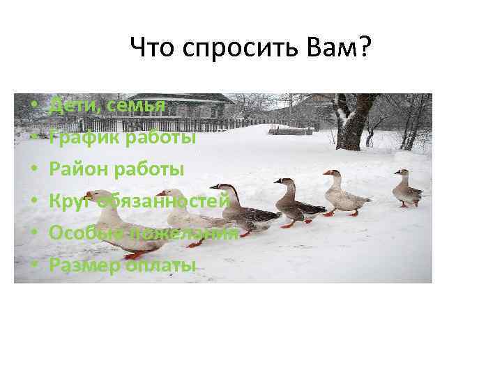 Что спросить Вам? • • • Дети, семья График работы Район работы Круг обязанностей