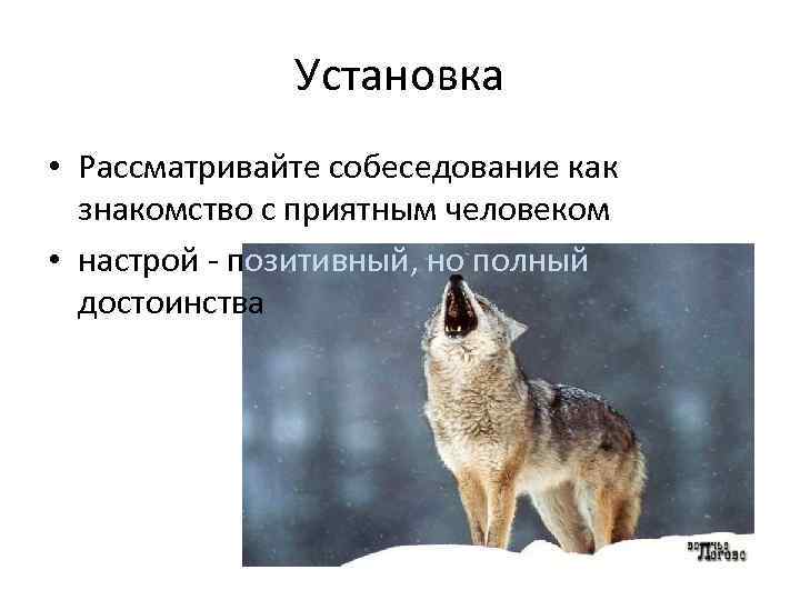 Установка • Рассматривайте собеседование как знакомство с приятным человеком • настрой - позитивный, но