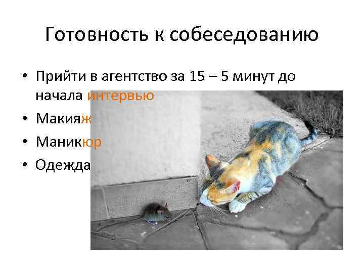 Готовность к собеседованию • Прийти в агентство за 15 – 5 минут до начала