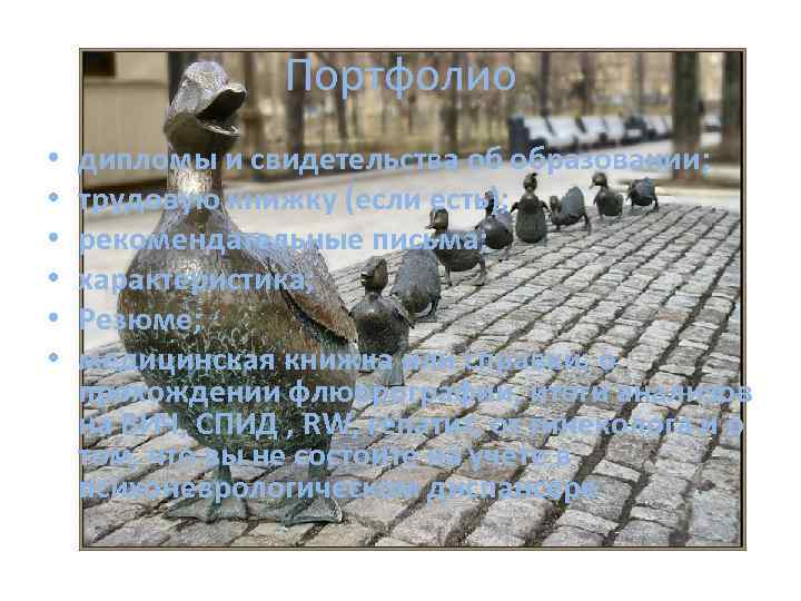 Портфолио • • • дипломы и свидетельства об образовании; трудовую книжку (если есть); рекомендательные