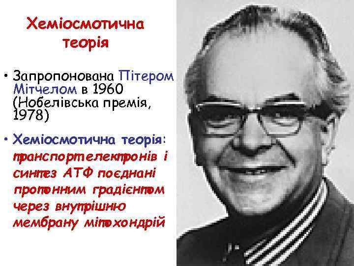 Хеміосмотична теорія • Запропонована Пітером Мітчелом в 1960 (Нобелівська премія, 1978) • Хеміосмотична теорія: