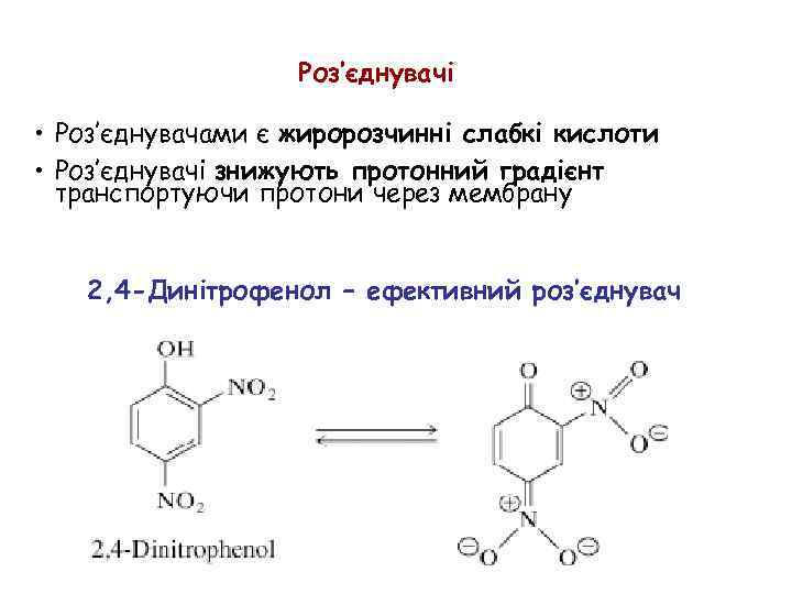 Роз’єднувачі • Роз’єднувачами є жиророзчинні слабкі кислоти • Роз’єднувачі знижують протонний градієнт транспортуючи протони