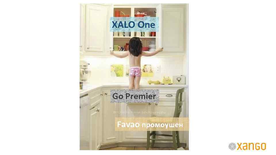 XALO One Go Premier Favao промоушен 