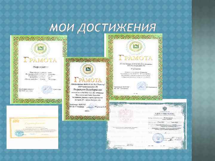 МОИ ДОСТИЖЕНИЯ 