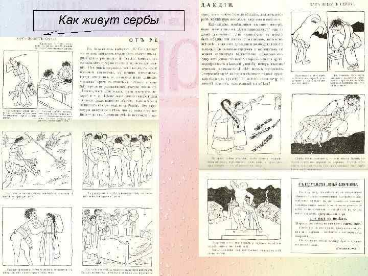 Как живут сербы 