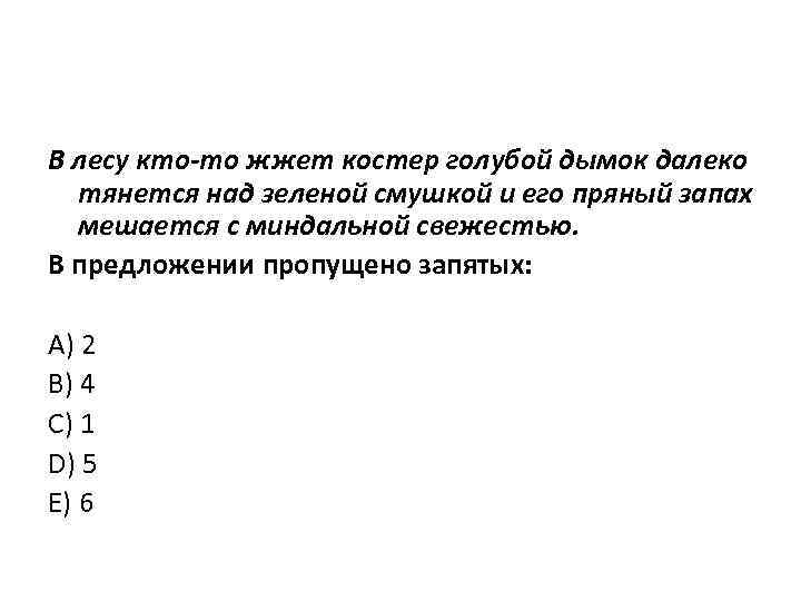 В лесу кто-то жжет костер голубой дымок далеко тянется над зеленой смушкой и его