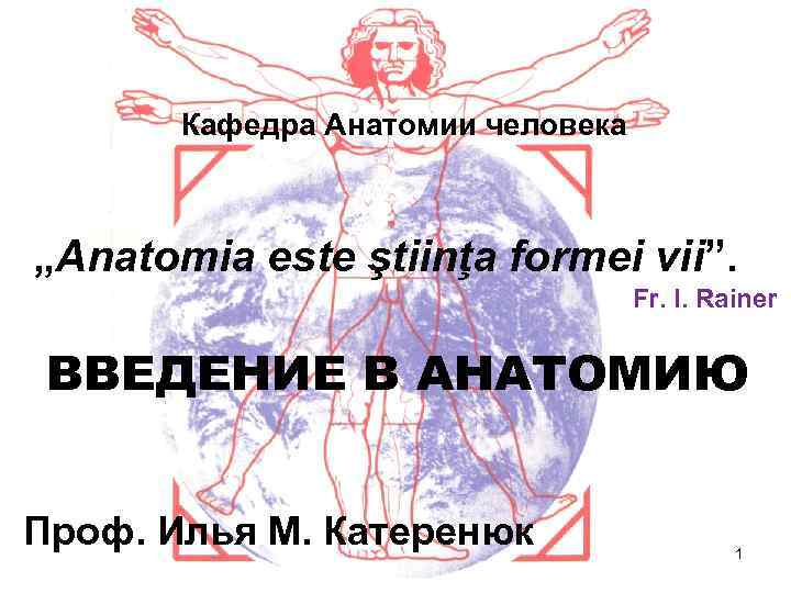 Кафедра Анатомии человека „Anatomia este ştiinţa formei vii”. Fr. I. Rainer ВВЕДЕНИЕ В АНАТОМИЮ