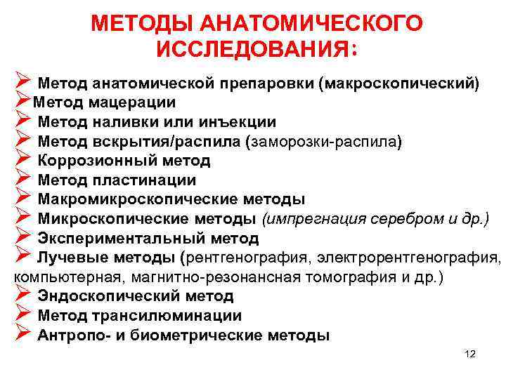 МЕТОДЫ АНАТОМИЧЕСКОГО ИССЛЕДОВАНИЯ: Ø Метод анатомической препаровки (макроскопический) ØМетод мацерации Ø Метод наливки или