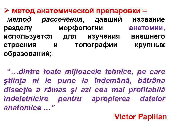 Ø метод анатомической препаровки – метод рассечения, давший название разделу морфологии анатомии, используется для