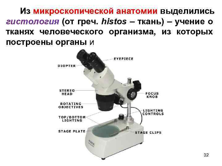  Из микроскопической анатомии выделились гистология (от греч. histos – ткань) – учение о