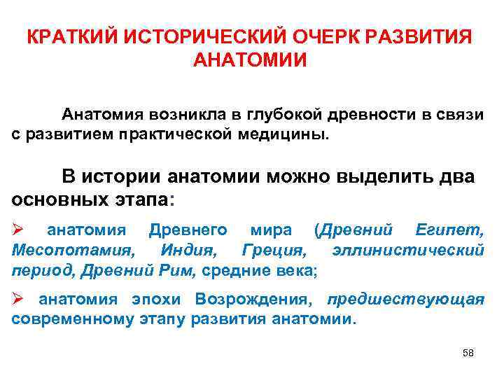 КРАТКИЙ ИСТОРИЧЕСКИЙ ОЧЕРК РАЗВИТИЯ АНАТОМИИ Анатомия возникла в глубокой древности в связи с развитием