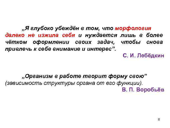  „Я глубоко убеждён в том, что морфология далеко не изжила себя и нуждается