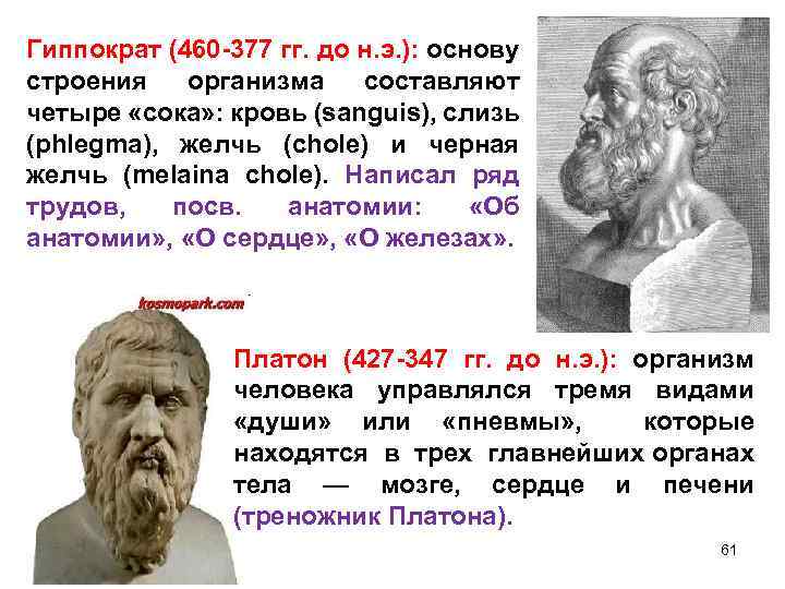 Гиппократ (460 -377 гг. до н. э. ): основу строения организма составляют четыре «сока»