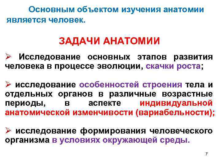 Основные задачи анатомии. Цели и задачи анатомии как науки. Предмет изучения анатомии. Цели и задачи анатомии и физиологии. Анатомия объект изучения.