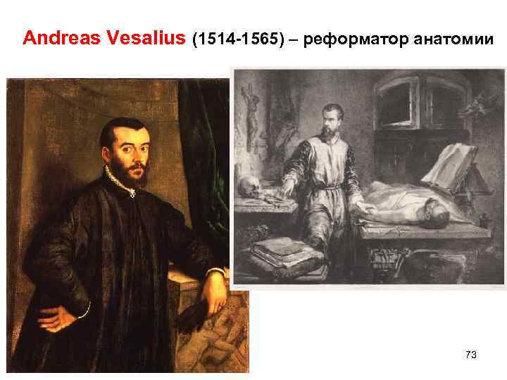 Andreas Vesalius (1514 -1565) – реформатор анатомии 73 