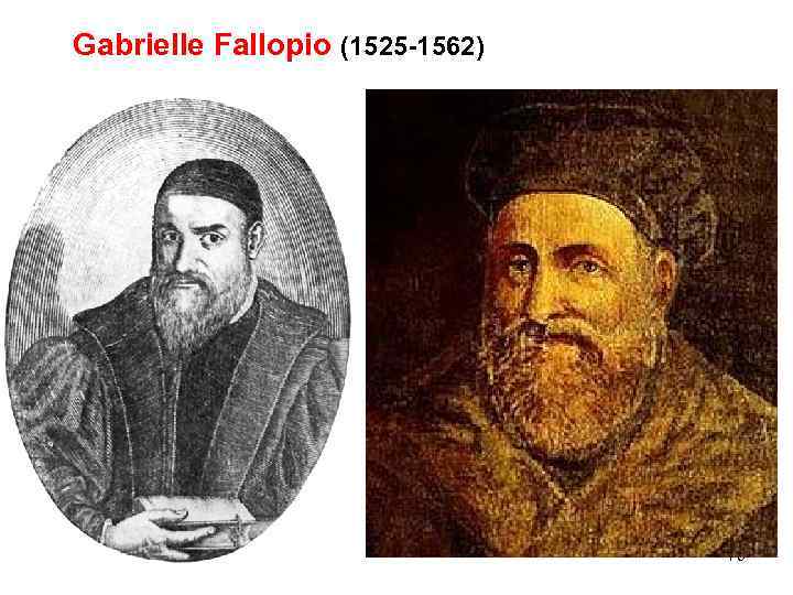 Gabrielle Fallopio (1525 -1562) 75 