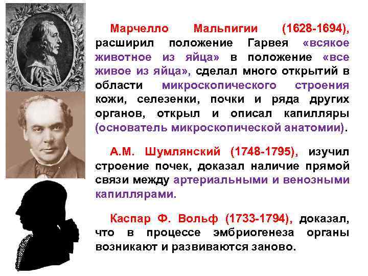 Марчелло Мальпигии (1628 -1694), расширил положение Гарвея «всякое животное из яйца» в положение «все