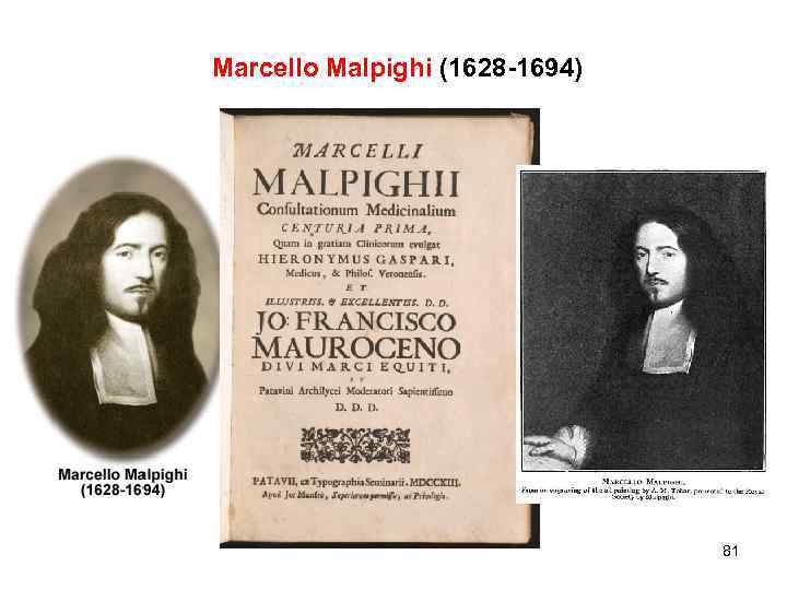 Marcello Malpighi (1628 -1694) 81 